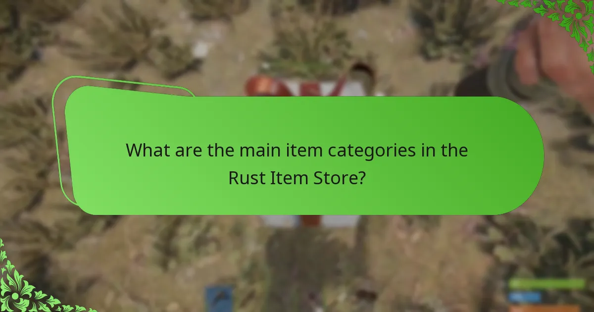 Which payment options are available in the Rust Item Store?